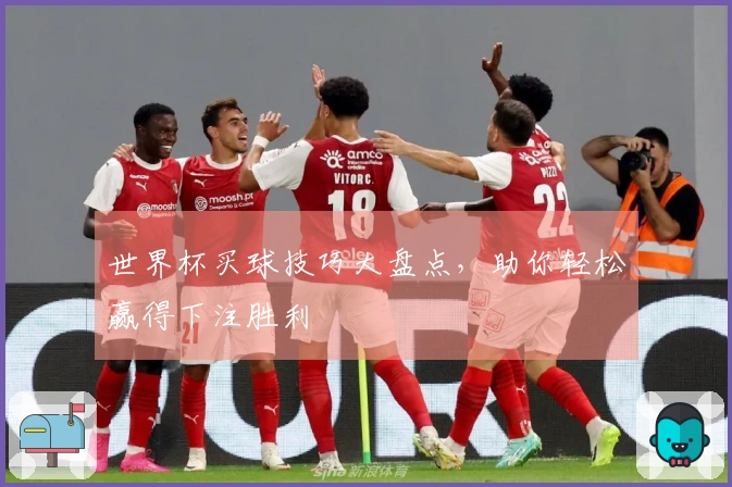世界杯买球技巧大盘点，助你轻松赢得下注胜利