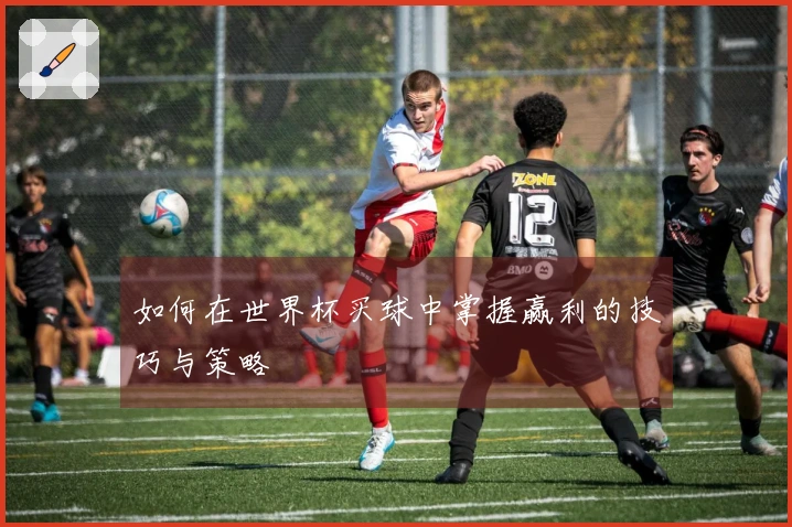 如何在世界杯买球中掌握赢利的技巧与策略
