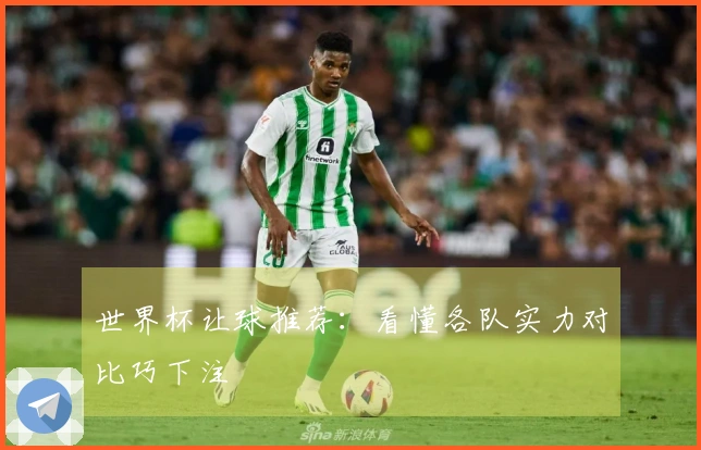 世界杯让球推荐：看懂各队实力对比巧下注